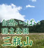 ���ӻ�