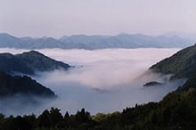 神秘的な雲海