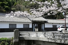 大森代官所跡と満開の桜